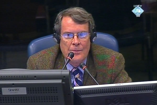 Patrick Treanor, witness at the Radovan Karadzic trial