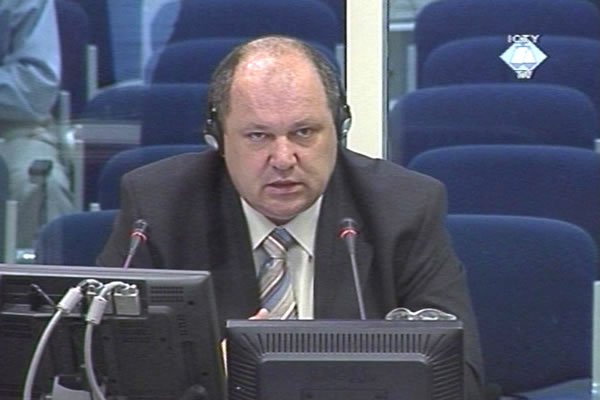 Damir Zoric, defence witness of Jadranko Prlic