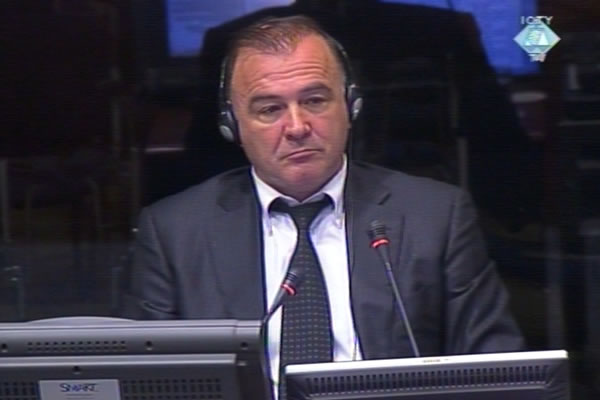 Momcilo Mandic, witness at the Radovan Karadzic trial