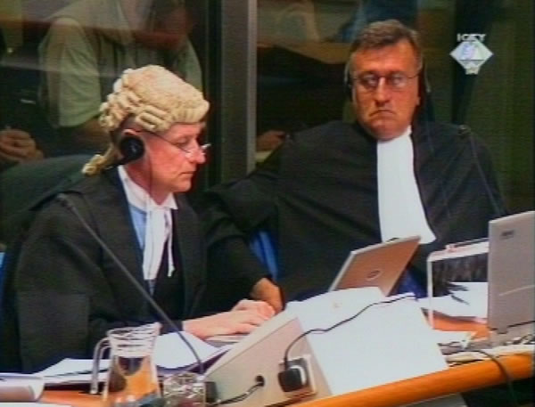 Branislav Tapušković i Steven Kay, amicus curiae at the Slobodan Milosevic trial