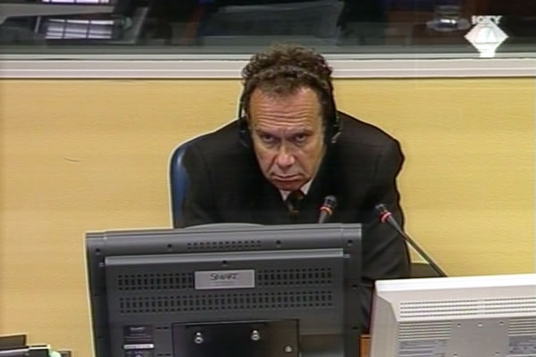 Rajko Petrovic, defence witness of Momcilo Perisic