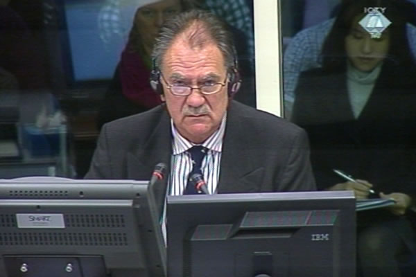 Richard Gray, defence witness of Radovan Karadzic