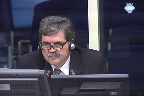 Mihajlo Vujasin, defence witness of Radovan Karadzic