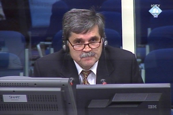 Mihajlo Vujasin, defence witness of Radovan Karadzic
