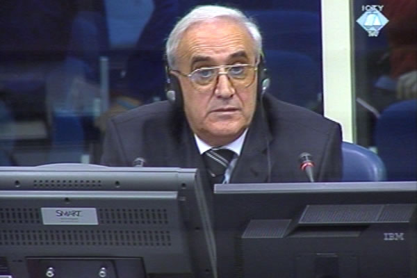 Svetozar Stanic, defence witness of Radovan Karadzic