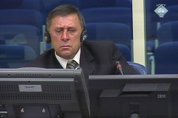 Zeljko Bambarez, defence witness of Radovan Karadzic