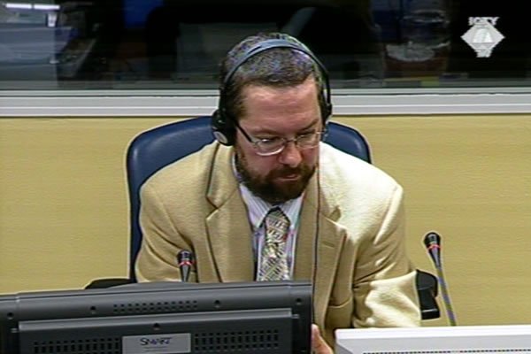 Christian Nielsen, witness at the Goran Hadzic trial