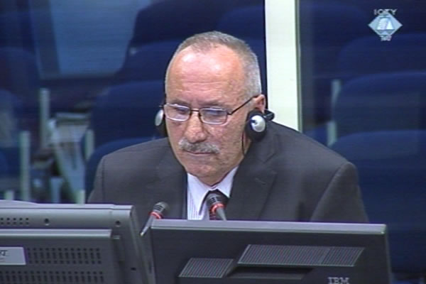 Tomislav Batinic, defence witness of Radovan Karadzic