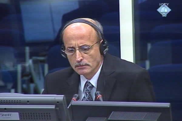 Tomislav Savkic, defence witness of Radovan Karadzic