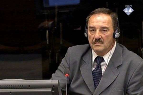 Aleksandar Tesic, defence witness of Radovan Karadzic