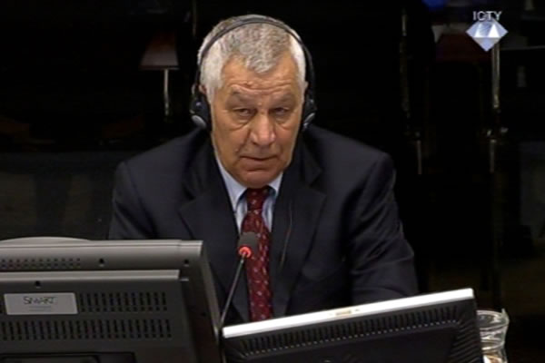 Aleksandar Vasiljevic, defence witness of Radovan Karadzic