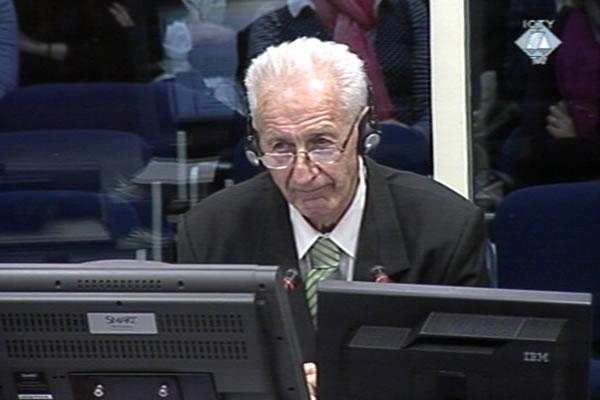 Milorad Skoko, defence witness of Radovan Karadzic