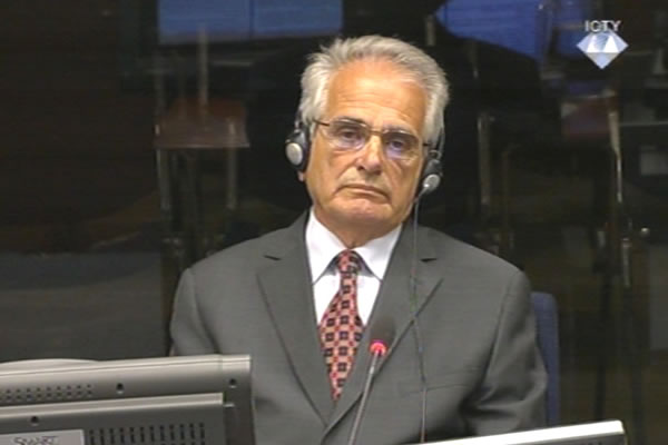 Savo Ceklic, defence witness of Radovan Karadzic