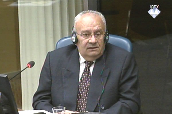Borislav Bogunovic, witness at he Goran Hadzic trial
