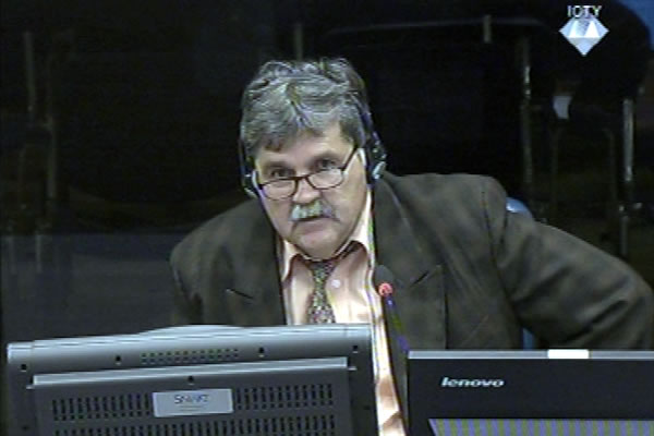 Mihajlo Vujasin, defence witness at Rako Mladic trial