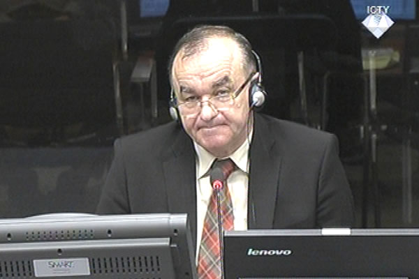 Tomislav Puhalac, defence witness at Rako Mladic trial