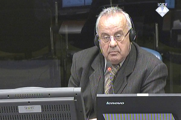 Milorad Sajic, defence witness at Rako Mladic trial