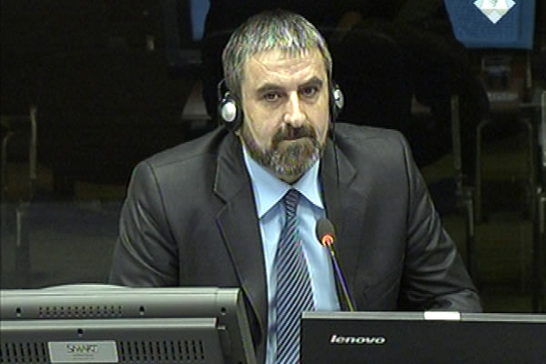 Milorad Pelemis, defence witness at Rako Mladic trial
