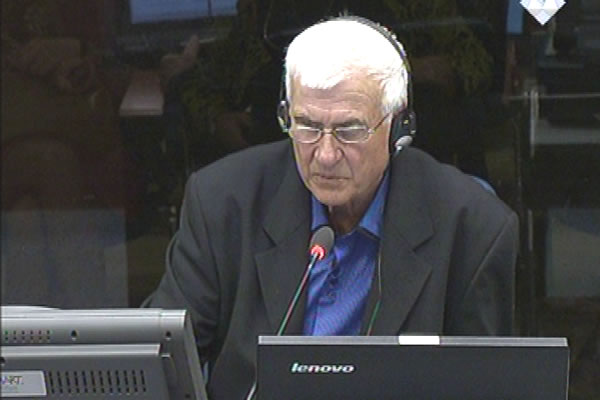 Tihomir Stevanovic, defence witness at Rako Mladic trial