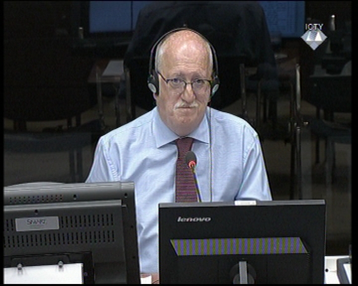 Jan Segers, defense witness at the Ratko Mladić's trial