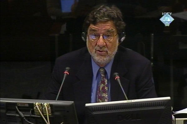 Anthony Oberschall, witness in the Seselj trial