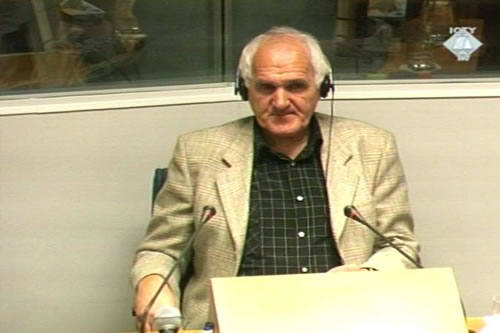 Nedeljko Radic, witness in the Oric trial