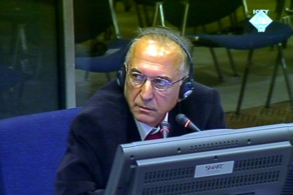 Sinisa Borovic, defence witness of Momcilo Perisic