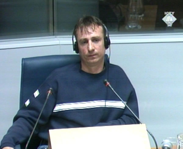 Suad Dzafic, witness at the Momcilo Krajisnik trial