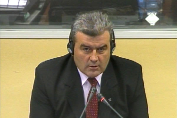 Vahid Karavelic, defense witness to Rasim Delic